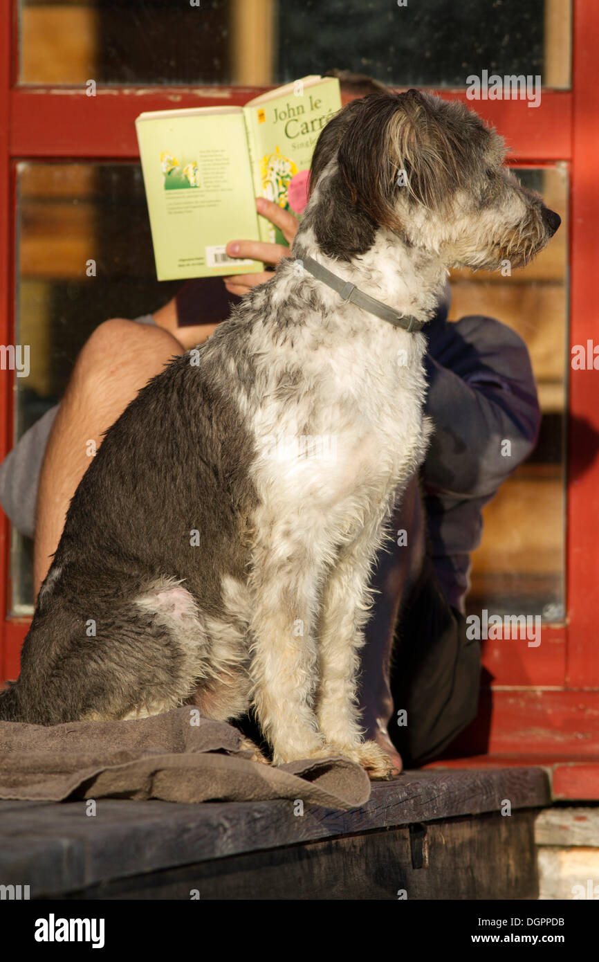 Mann in der Sonne sitzen und ein Buch mit seinem wachsamen Hund sitzt vor ihm, Kärnten, Österreich, Europa Stockfoto