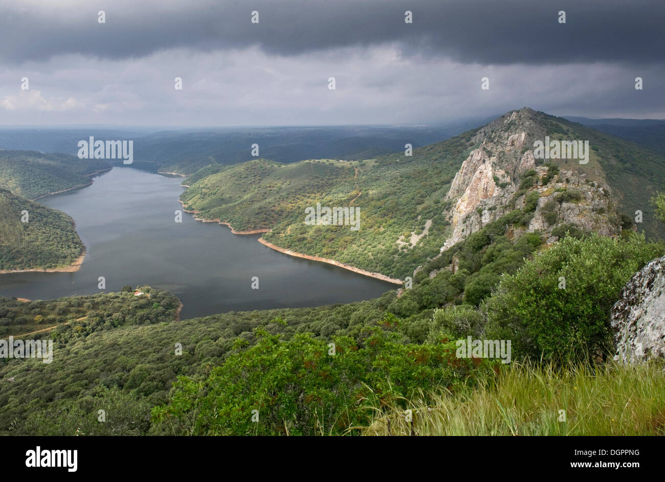 Tagus oder Tajo Flusses, Monfraguee Nationalpark, Extremadura, Spanien, Europa Stockfoto