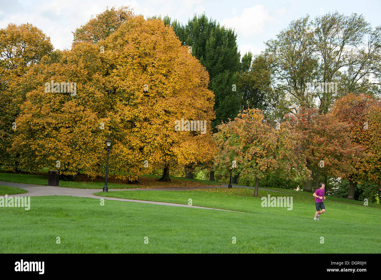 Ändern von Farben in der Herbst-Saison auf Primrose Hill, London. Stockfoto