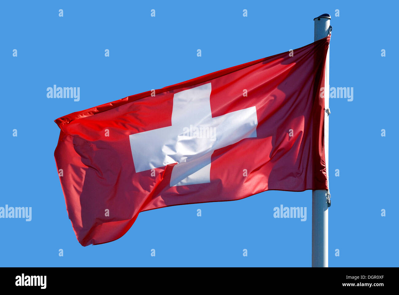 Nationalflagge der Schweiz. Stockfoto
