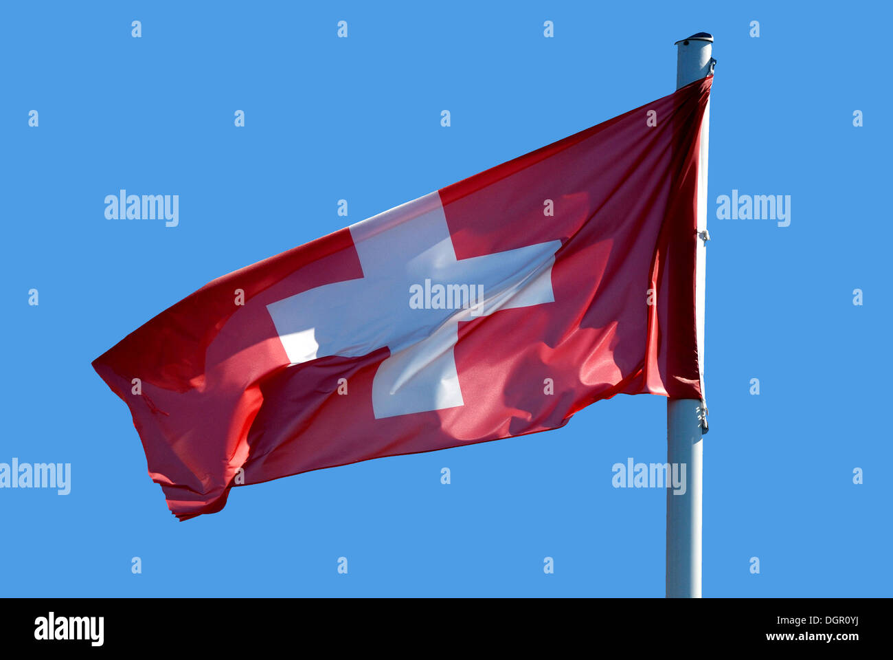 Nationalflagge der Schweiz. Stockfoto