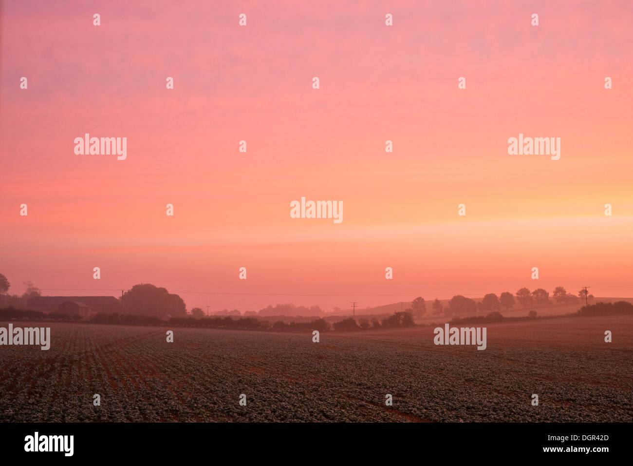 Ruhige ländliche Sunrise, Kent, UK Stockfoto