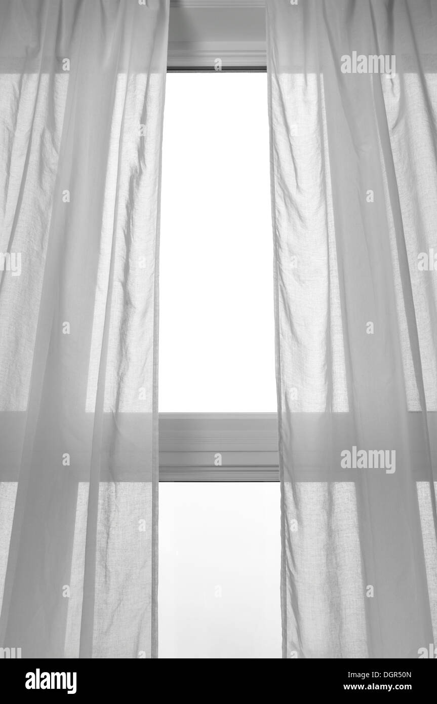 Licht, das durch die Fenster mit weißen transparenten Vorhängen. Stockfoto