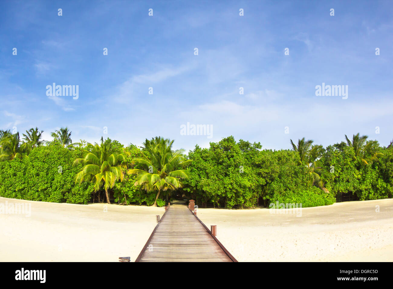 der Weg zum Strand und Dschungel Stockfoto