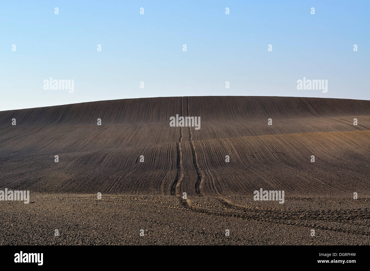 Spuren in die geräumten Flächen, landwirtschaftliche Steppe, landwirtschaftliche Wüste, Rendsburg-Eckernförde, Schleswig - Holstein Stockfoto