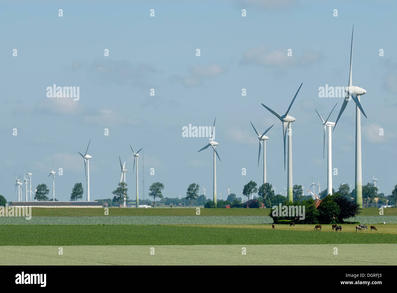 Windenergie Nutzung, Landkreis Dithmarschen, Schleswig- Holstein Stockfoto