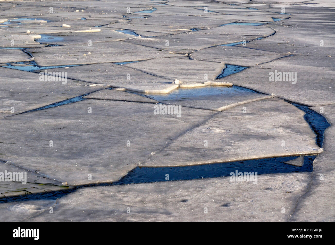 Risse im Eis, Eisschollen auf der Ostsee aus Stein, Probstei, Plön, schleswig-holstein Stockfoto