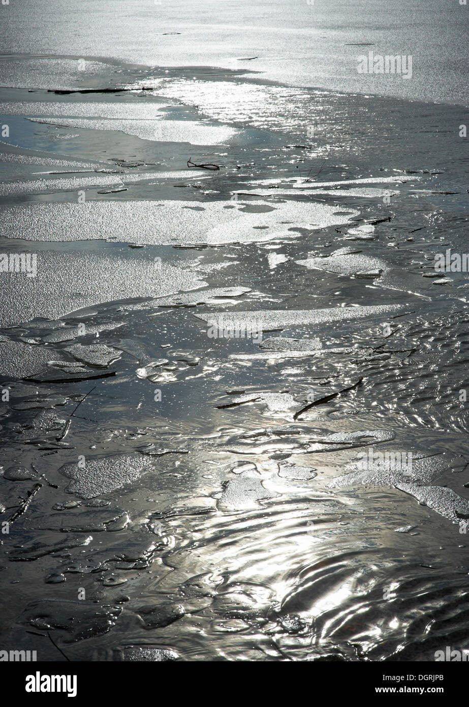 Kuhsee Fotos und Bildmaterial in hoher Auflösung Alamy