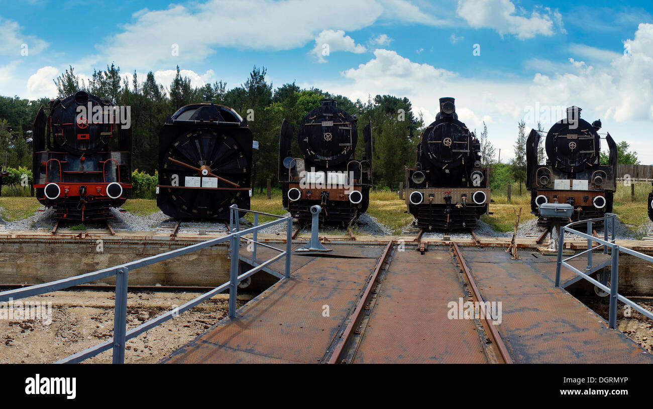 5 Lokomotiven stehen vor dem Plattenspieler, Çamlik Eisenbahnmuseum, Çamlik, Türkei, Asien Stockfoto