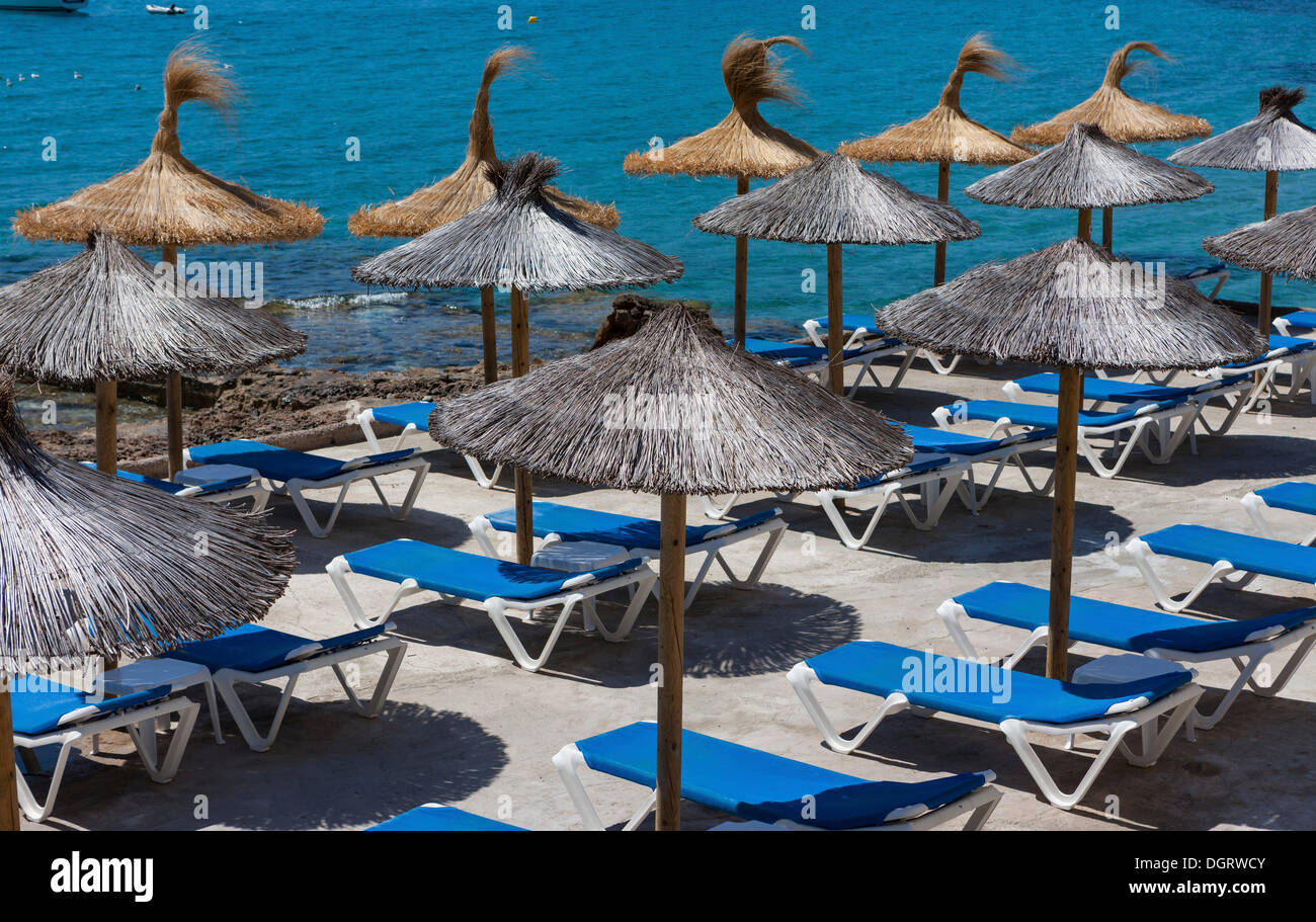 Sonnenschirme, Sant Elm, Gemeinde Andratx, Sant Elm, Mallorca, Balearen, Mittelmeer, Spanien, Europa Stockfoto