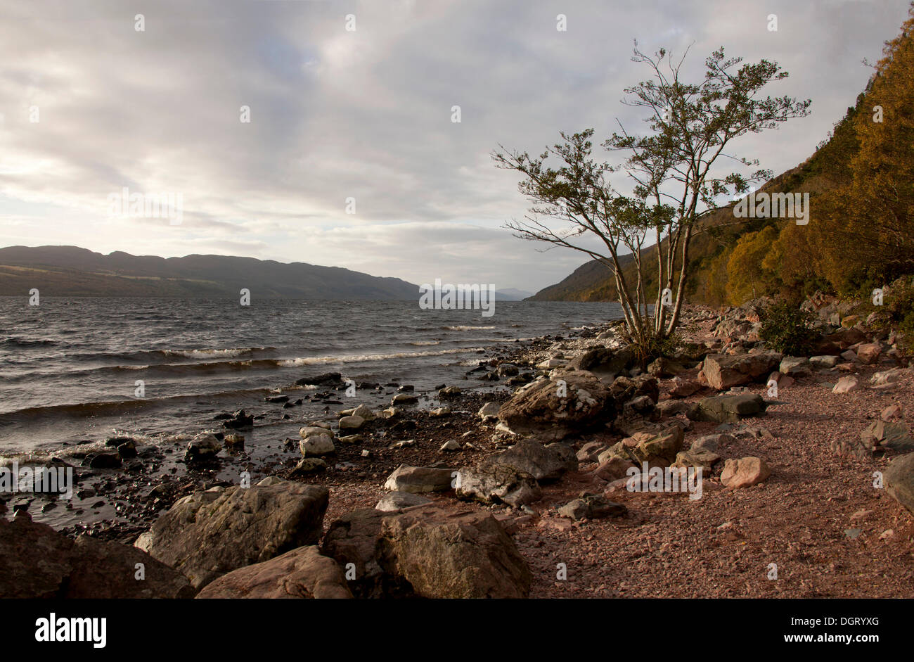 Loch Ness, Highlands, Schottland, Vereinigtes Königreich, Europa Stockfoto