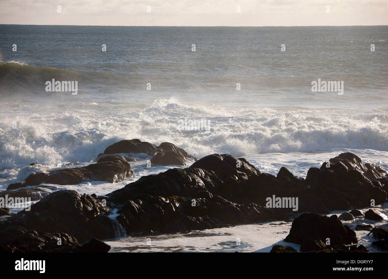 Surfen Sie in Stonehaven, Schottland, Vereinigtes Königreich, Europa Stockfoto