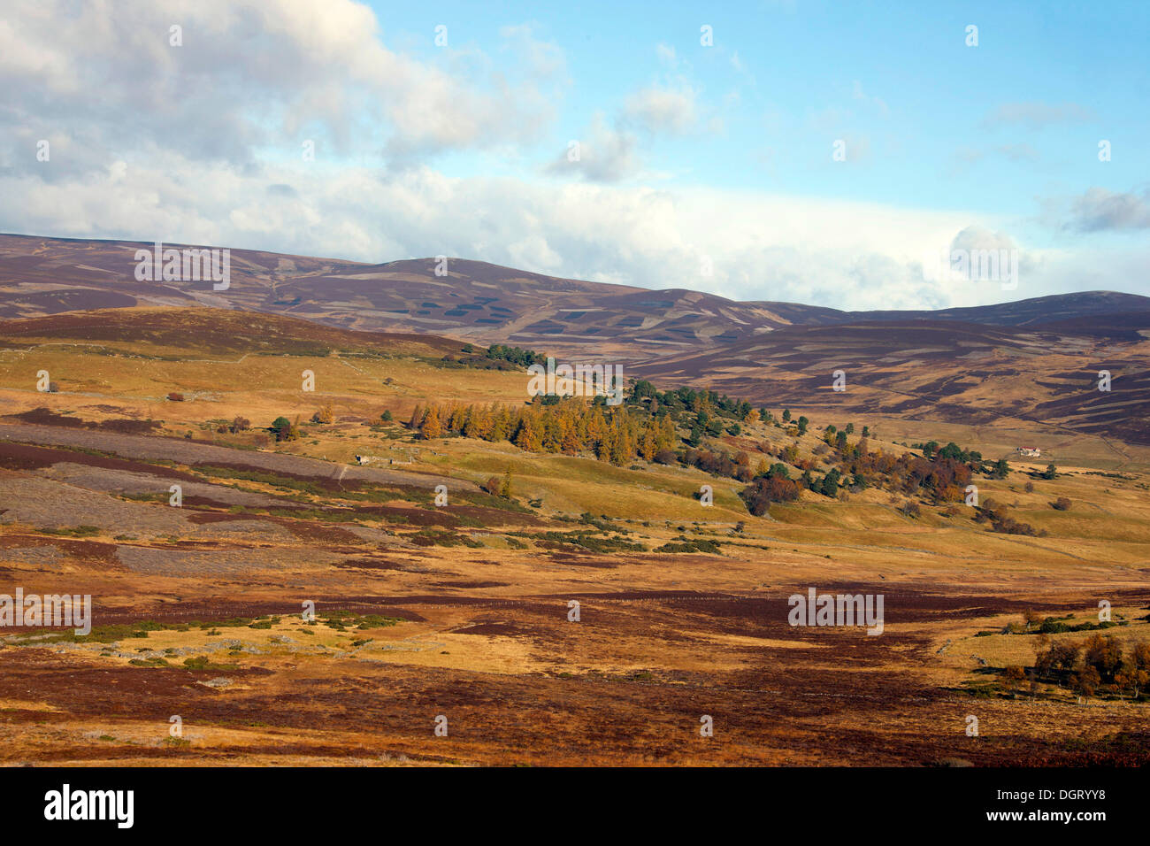 Highlands im Herbst, Schottland, Vereinigtes Königreich, Europa Stockfoto