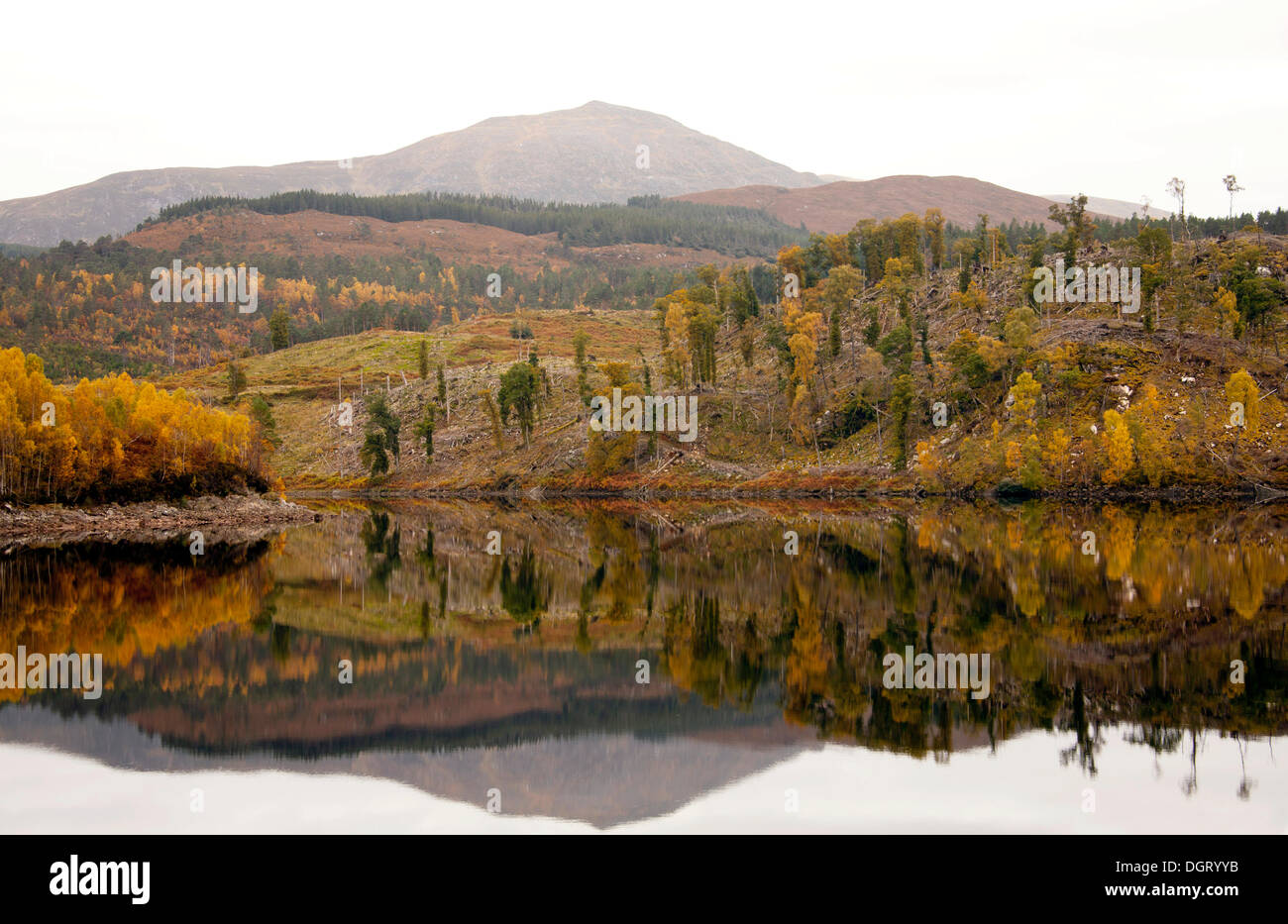 Herbstlich bunte Bäume, Loch Cuillin, Highlands, Schottland, Vereinigtes Königreich, Europa Stockfoto