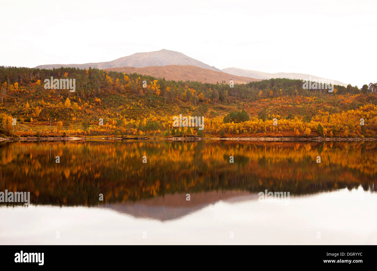 Loch Cuillin im Herbst, Highlands, Schottland, Vereinigtes Königreich, Europa Stockfoto