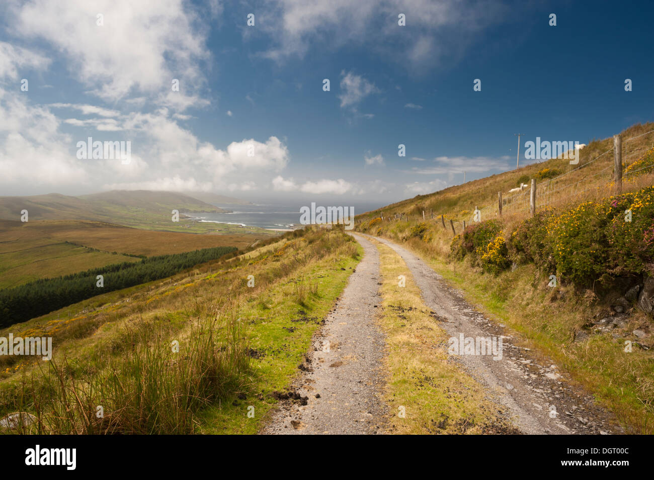 Verfolgen Sie über Knockoura Berg von Castletownbere bis Allihies, Blick nach Westen auf den Atlantik Stockfoto