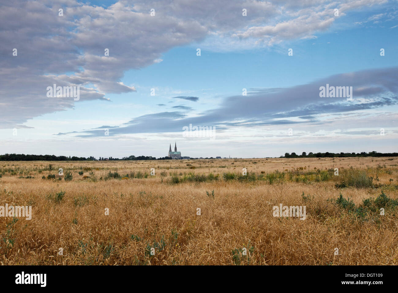 Ansicht der Kathedrale von Chartres in den Morgen, gesehen vom Osten, Chartres, Ile de France Region, Frankreich, Europa Stockfoto