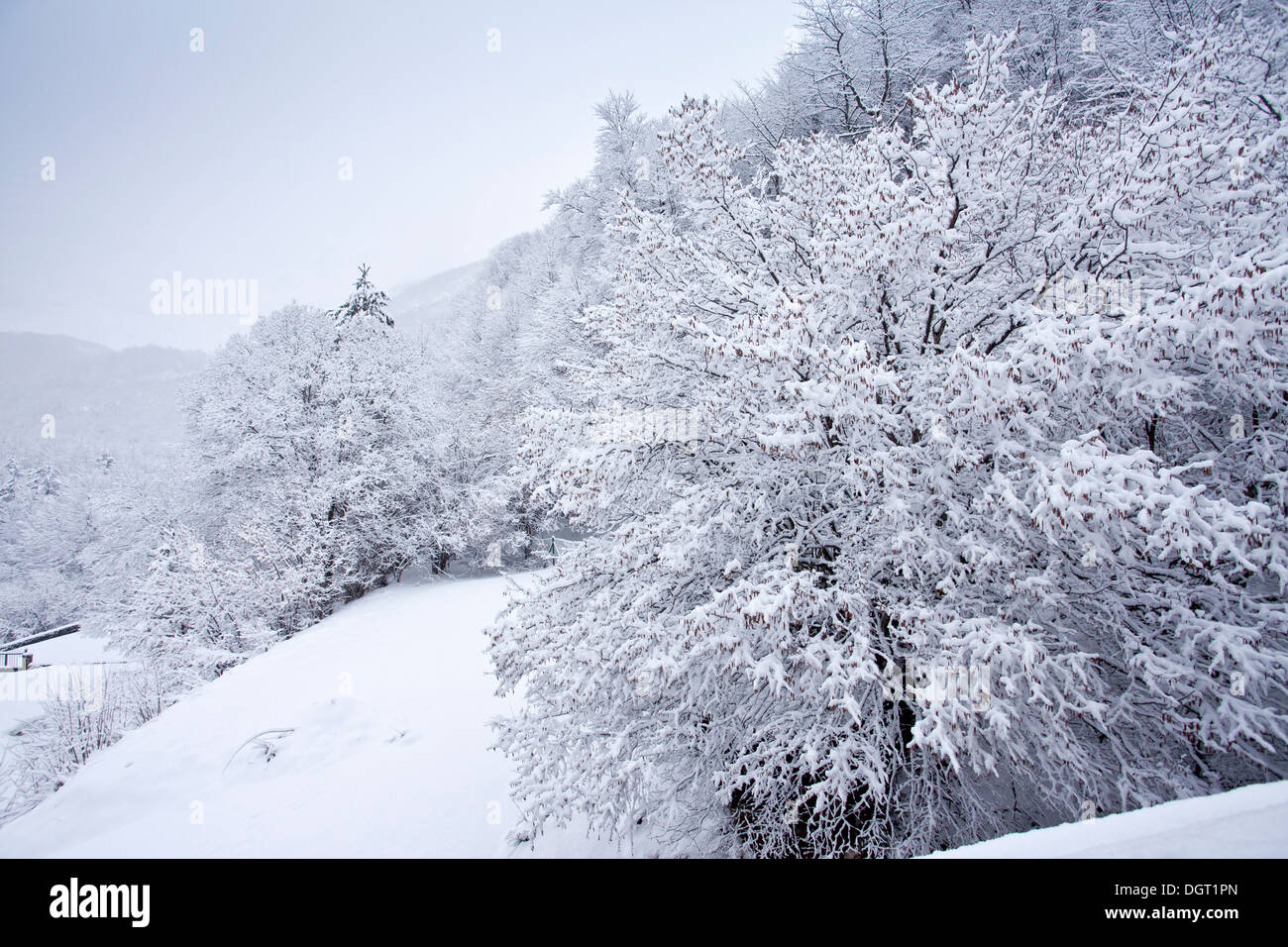 Valle de Pineta in Schneewetter im Spätwinter; Ordesa Nationalpark Pyrenäen. Spanien Stockfoto