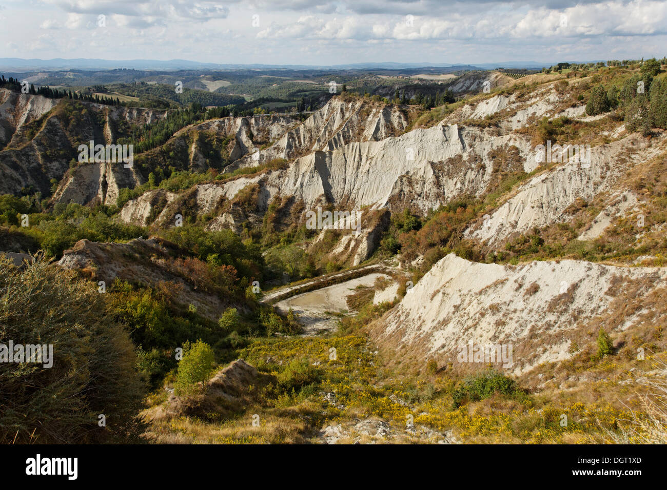 Crete Senesi, buchstäblich, senesische Tone, Erosion Formen der Calanchi in der Nähe von Chiusure, Buonconvento, Toskana Stockfoto