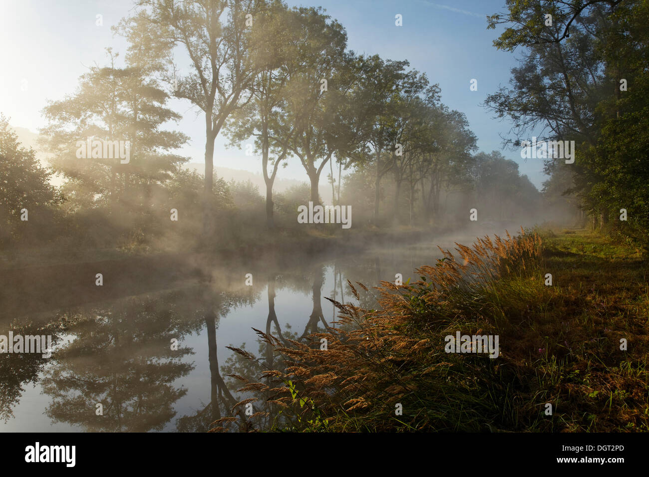 Canal des Vosges, früher Canal de l ' est, bei PK 100,5 mit Morgennebel und Morgensonne, Girancourt, Epinal, Lorraine Stockfoto