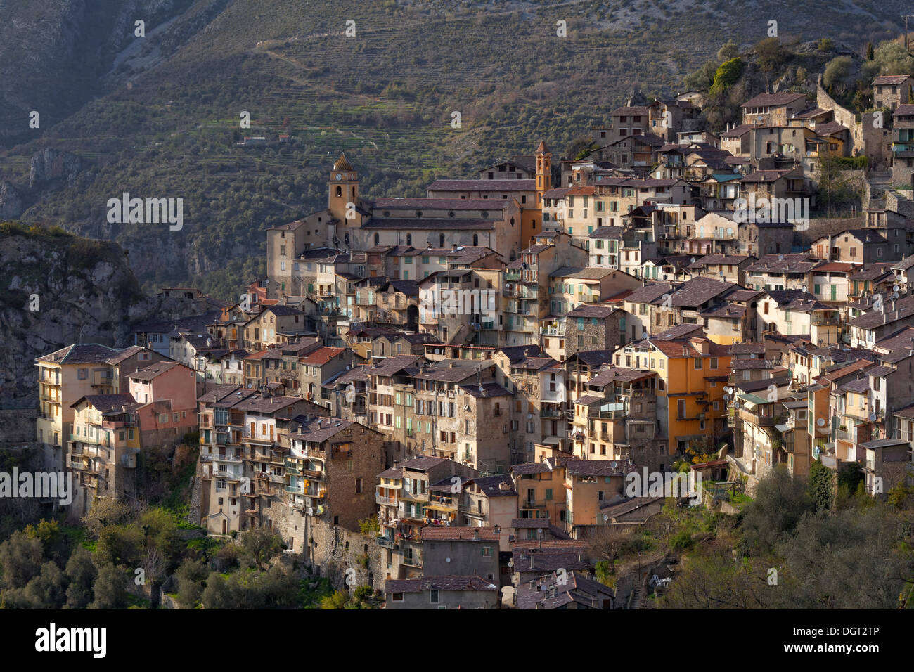 Berg Dorf von Saorge hoch über das Roya-Tal, Saorge, Département Alpes-Maritimes, Region Provence-Alpes-Côte d ' Stockfoto