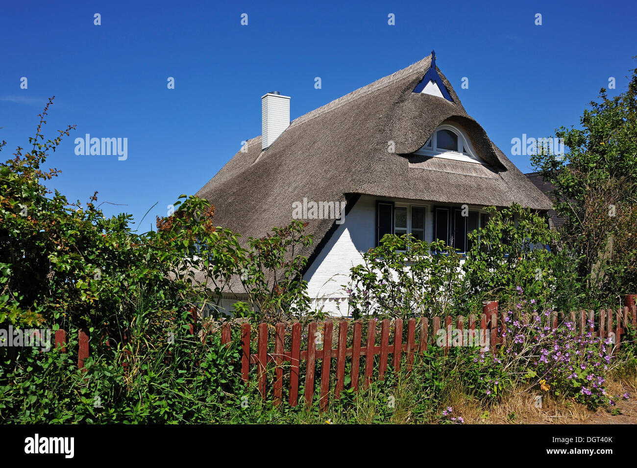 Freistehendes Haus mit einem Strohdach hinter einem Gartenzaun, Ahrenshoop, Darß, Mecklenburg-Vorpommern Stockfoto