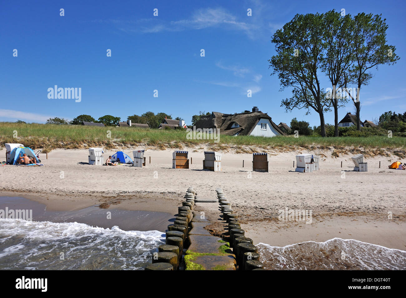 Überdachte Korbsessel Strand am Strand, eine Buhne im Vordergrund, Häuser mit Strohdächern und Pappeln (Populus) auf der Rückseite Stockfoto