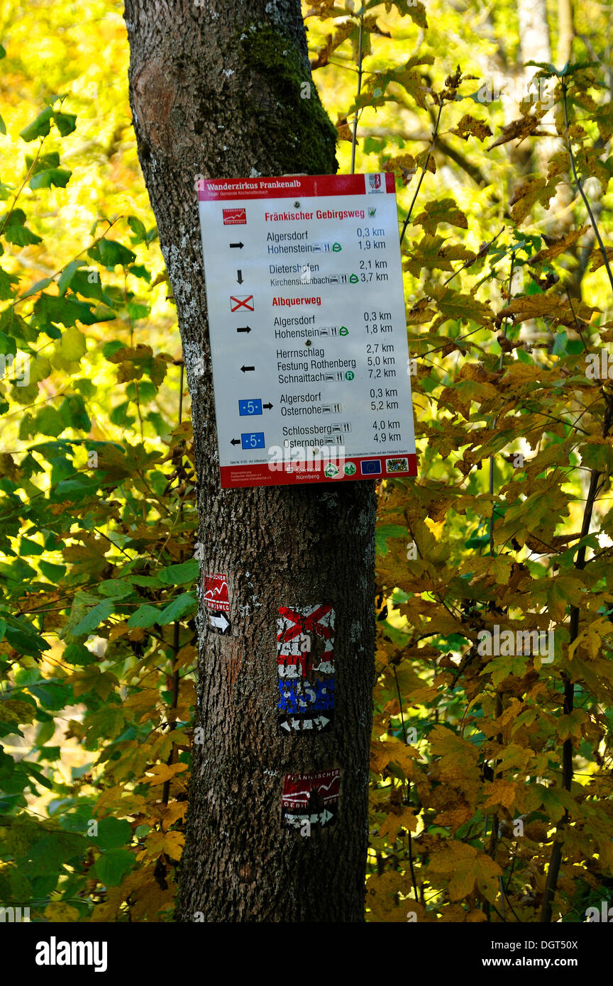 Alte und neue Wandern Zeichen auf einem Baum, Algersdorf, Fränkische  Schweiz, Middle Franconia, Bayern, PublicGround Stockfotografie - Alamy