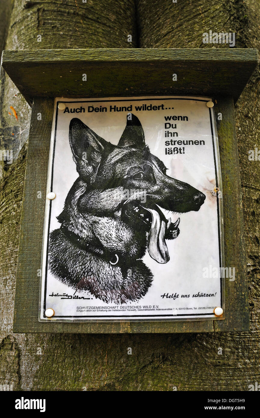 Zeichen "Auch Dein Hund Wildert... Wenn Du ihn-Streunen Laesst", Deutsch  für "auch Ihr Hund wird jagen lässt man es streunende!", Möchs  Stockfotografie - Alamy