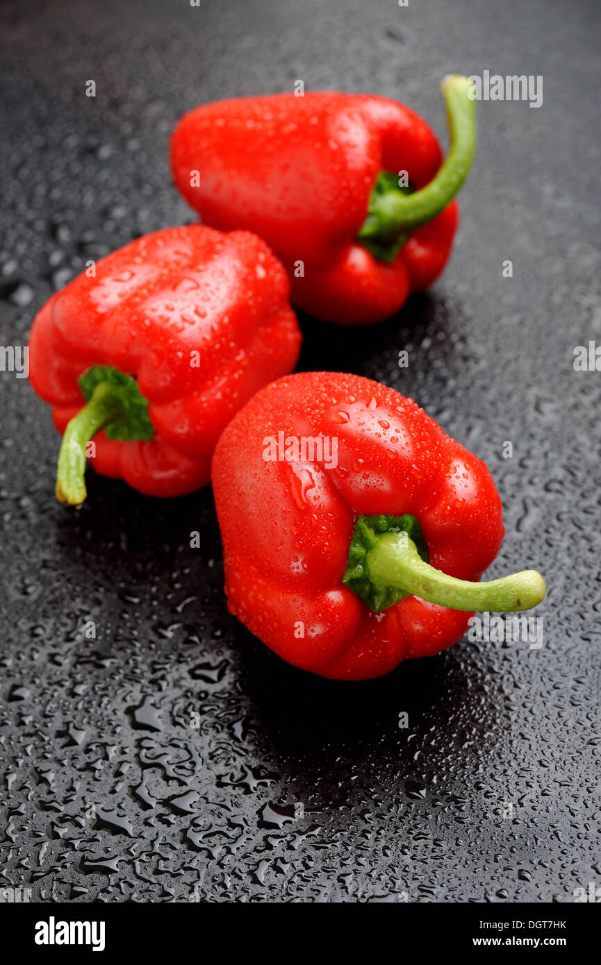 Drei rote Paprika auf schwarzen Tisch nach Regen Stockfoto