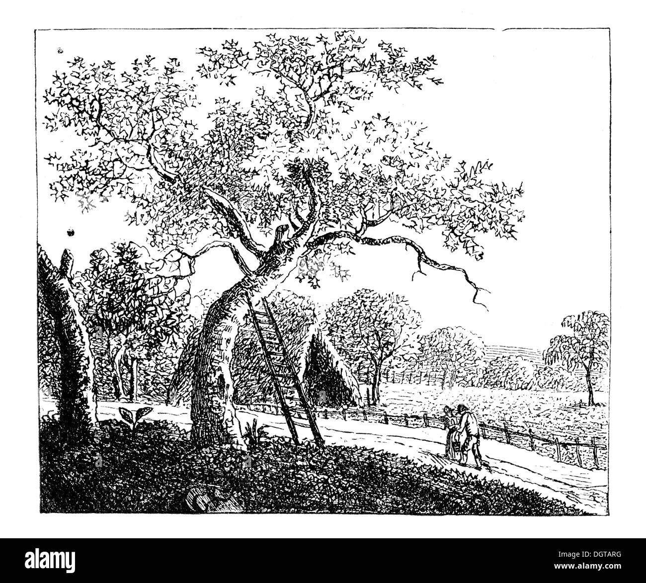 Handgemachte Ätzen von Koerner, historische Illustration aus Deutsche Literaturgeschichte, eine Geschichte der deutschen Literatur aus dem Jahr 1885 Stockfoto