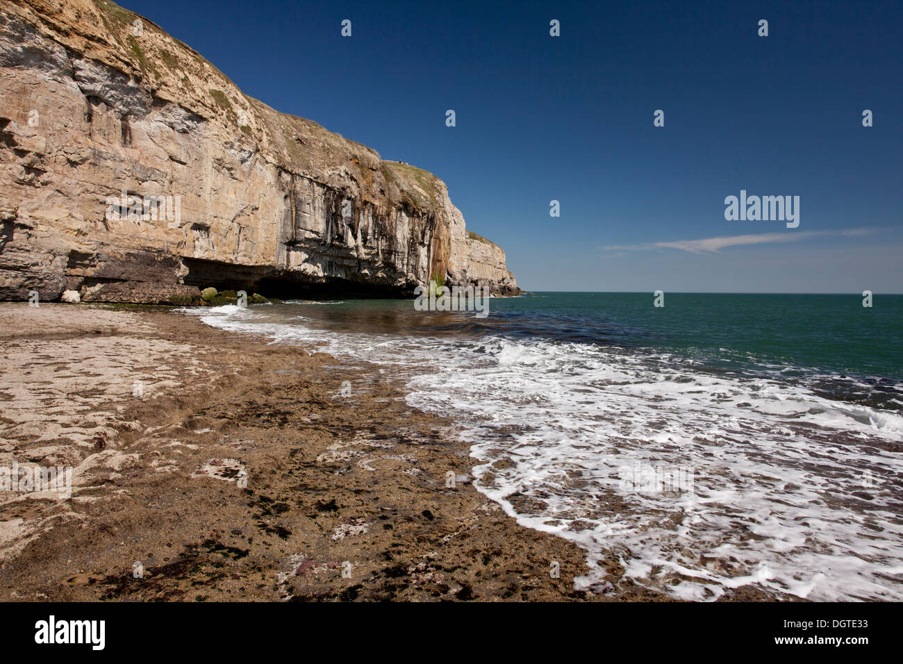 Tanzen Sie Simsen, Kalksteinbrüche und Plattform an der Küste von Dorset westlich Swanage. Dorset. Stockfoto