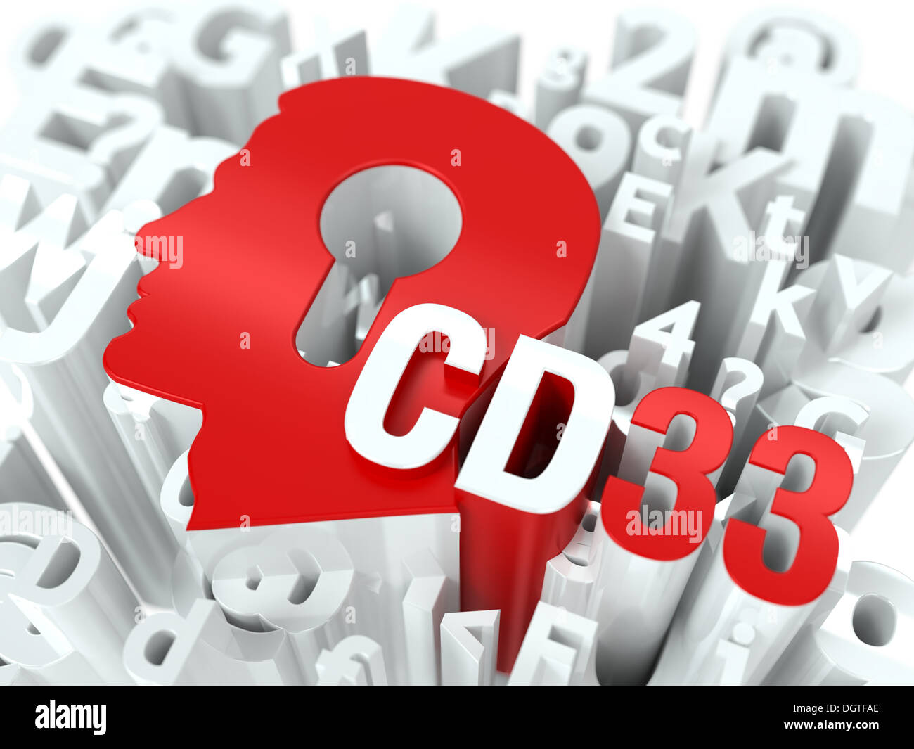 CD33 und Kopf auf Alphabet Hintergrund. Stockfoto