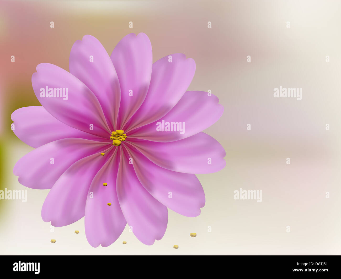 Rose Petal Blume Shell auf rosa Hintergrund Stockfoto