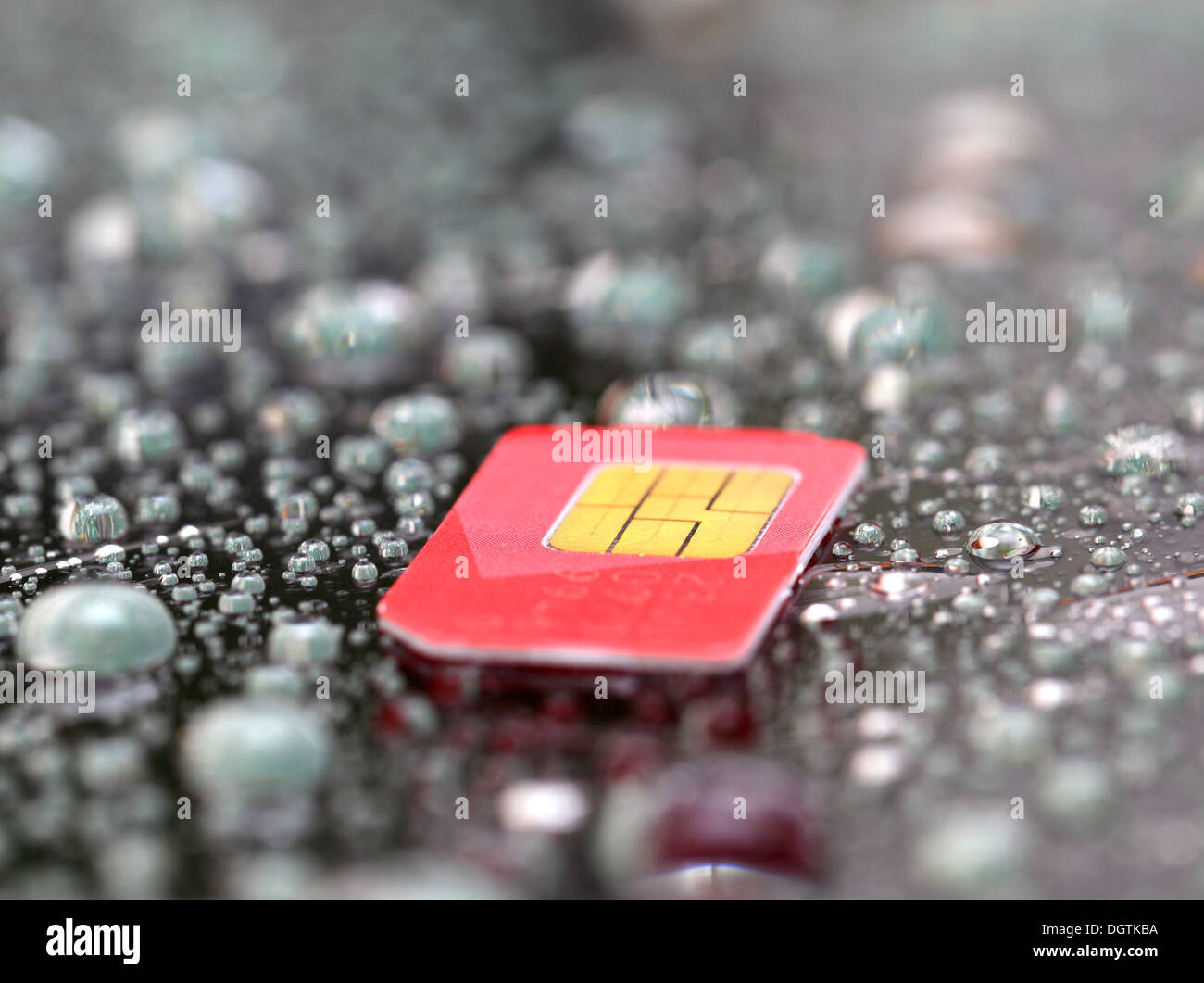 Mobil SIM-Karte auf Wated Drop Hintergrund Stockfoto