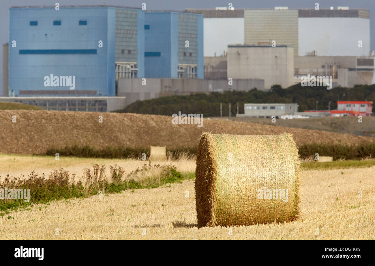 Erntezeit in der Nähe von Hinkley Punkt A und B Kernenergie Reaktor Bahnhofsgebäude am Ufer des Bristol Channel UK Somerset Stockfoto