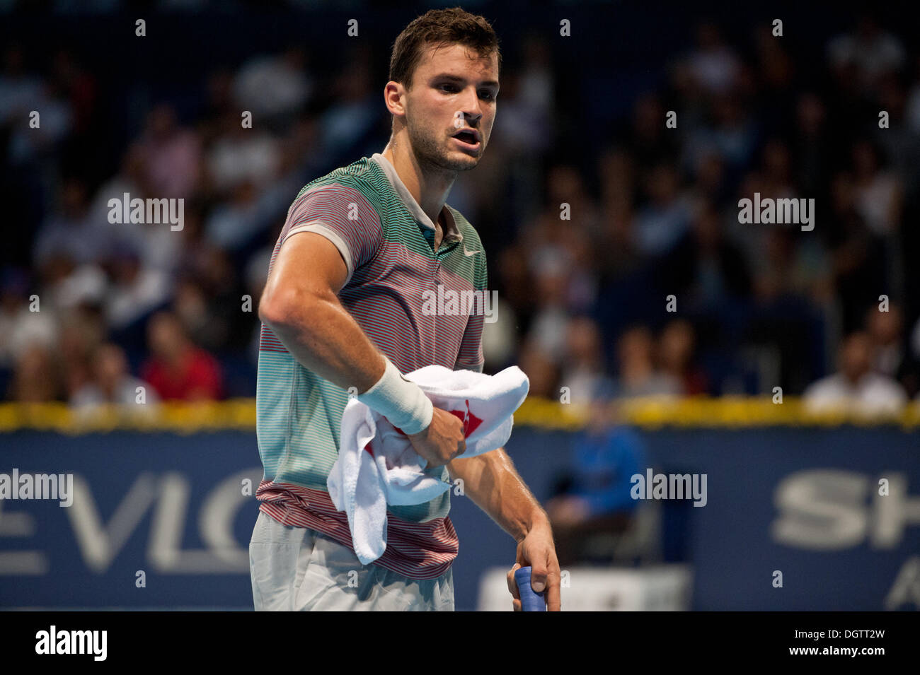 Basel, Schweiz. 25. Oktober 2013. Grigor Dimitrov (BUL) während eines Spiels das Viertelfinale von den Swiss Indoors in St. Jakobshalle am Freitag. Foto: Miroslav Dakov / Alamy Live News Stockfoto Basel, Schweiz. 25. Oktober 2013. Grigor Dimitrov (BUL) während eines Spiels das Viertelfinale von den Swiss Indoors in St. Jakobshalle am Freitag. Foto: Miroslav Dakov / Alamy Live News Stockfoto