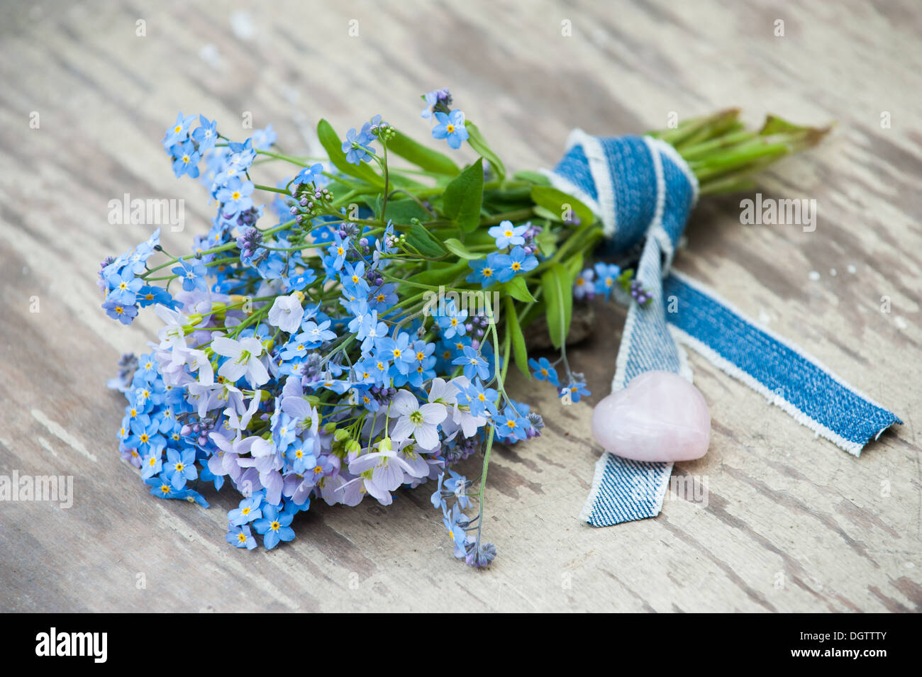 Vergiss mich nicht Blumen auf hölzernen Hintergrund Stockfoto