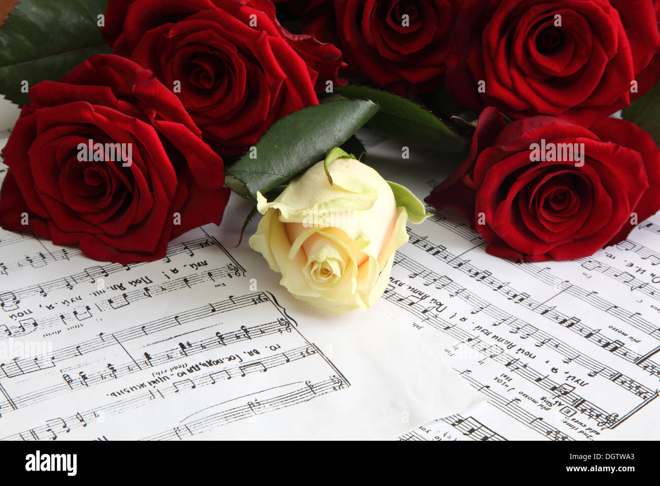 rote und weiße Rosen auf einem Blatt mit Notizen Stockfoto