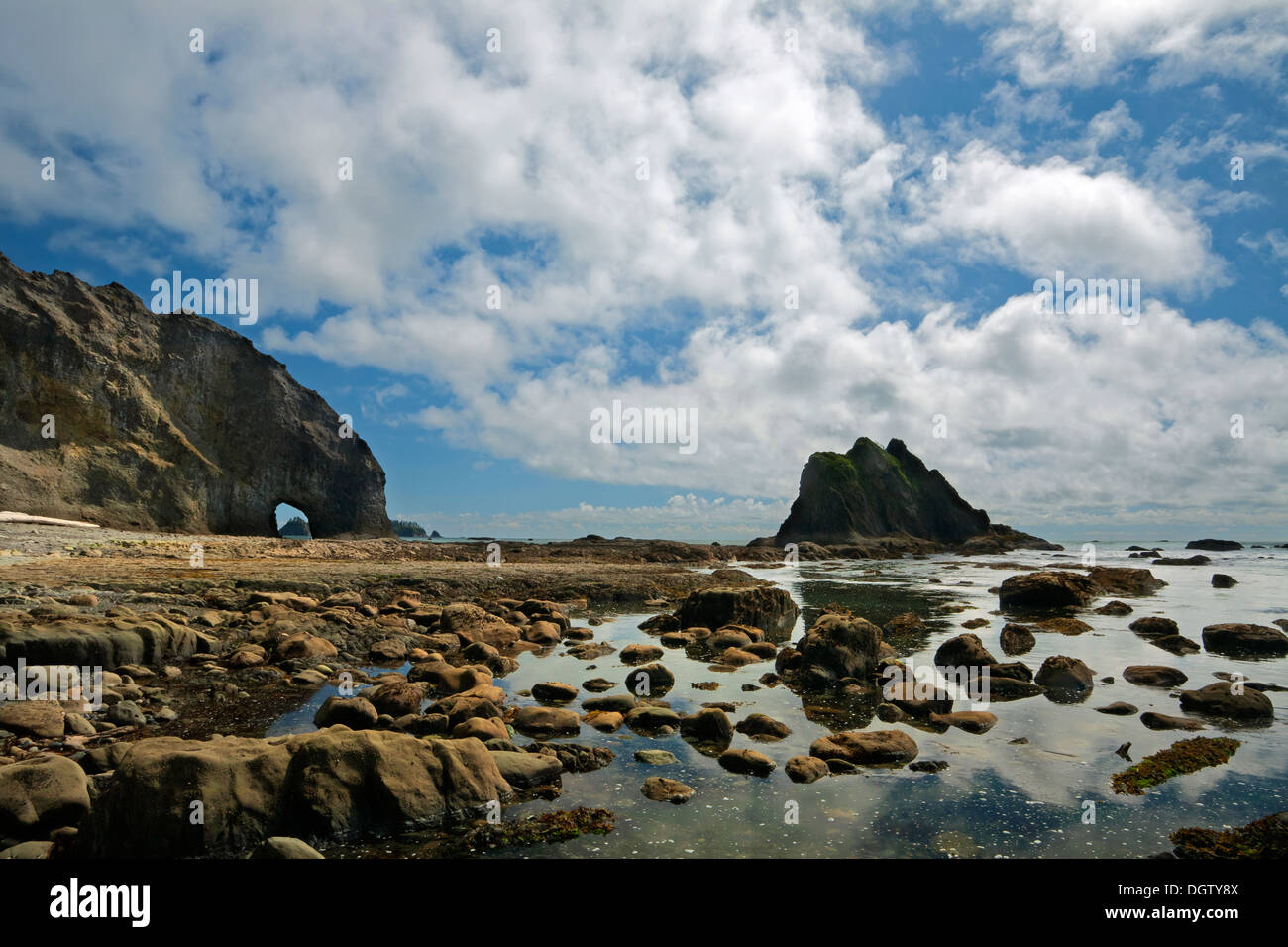 WASHINGTON - Seastacks, Tidepools, Fenster und vorgelagerten Inseln am Loch an der Pazifikküste in Olympic Nationalpark Stockfoto