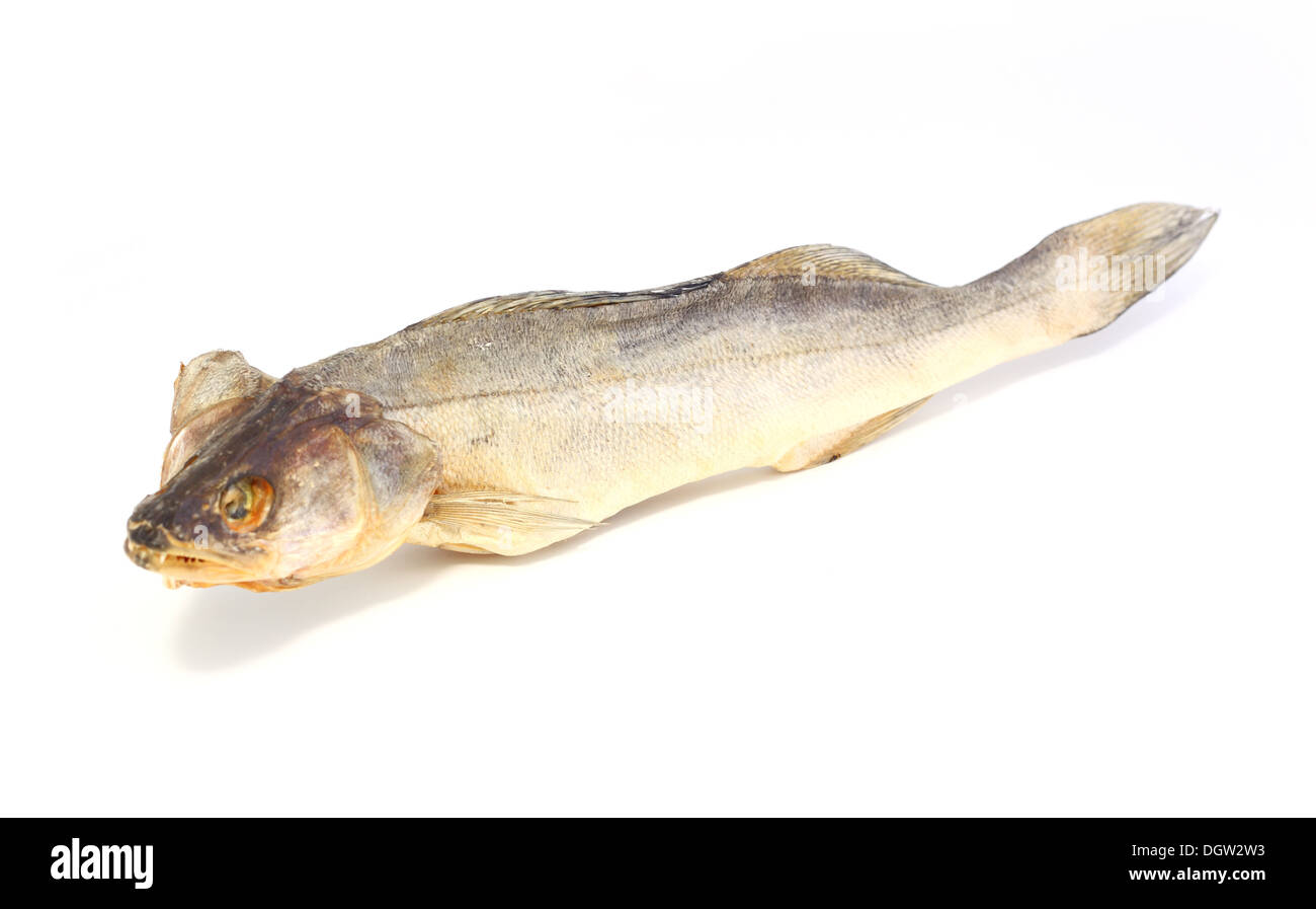 Barsch. Getrockneter Fisch auf weißem Hintergrund Stockfoto
