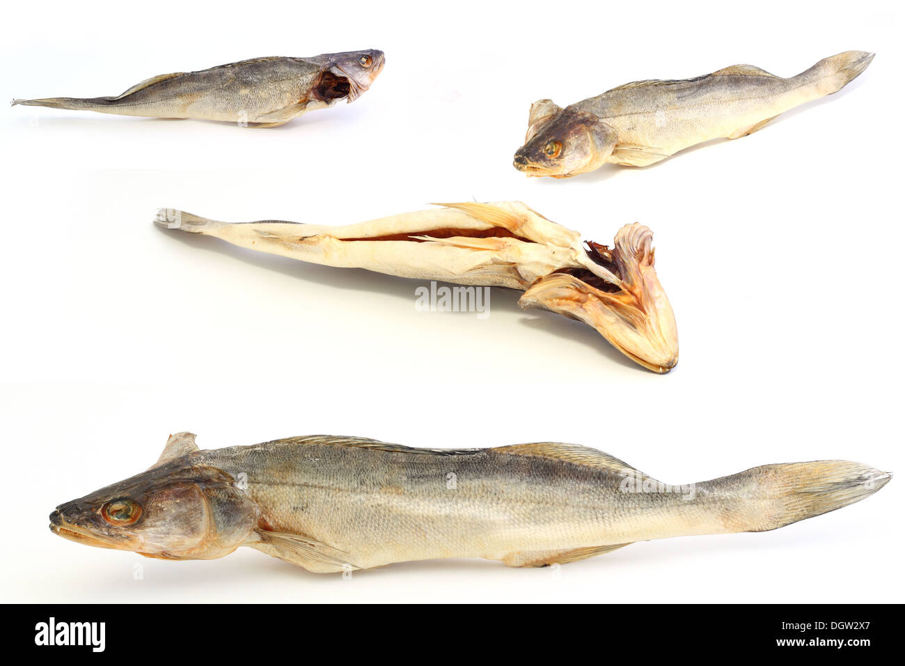 Getrockneter Fisch auf weißem Hintergrund Stockfoto