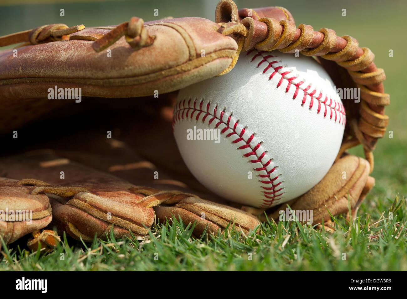Neue Baseball in einen Handschuh im Outfield Gras Stockfoto