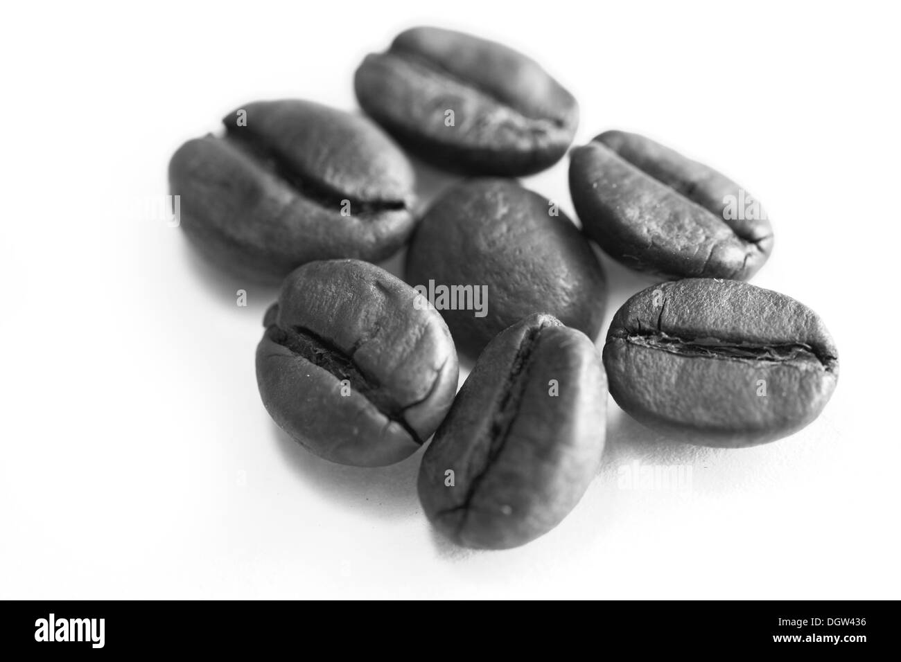 Kaffeebohnen auf weißem Hintergrund Stockfoto