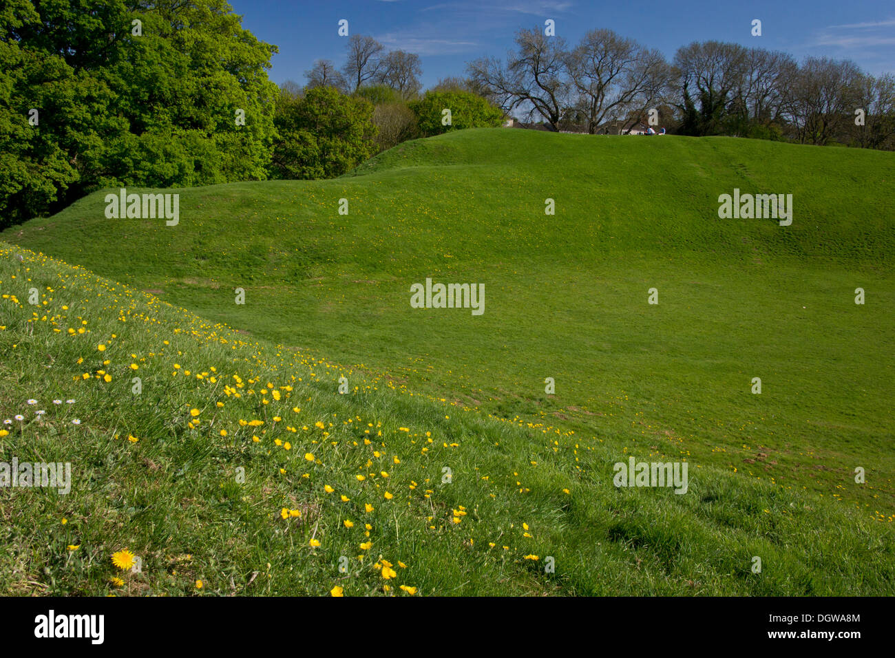 Cirencester Roman Amphitheater - bleibt des 2. Jahrhunderts n. Chr. Amphitheater, jetzt Grünland. Wilts. Stockfoto