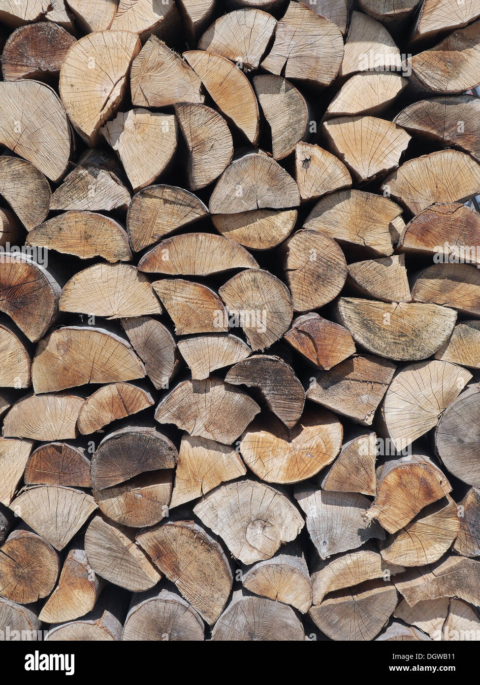 Haufen von gehackten Buche Brennholz Stockfoto