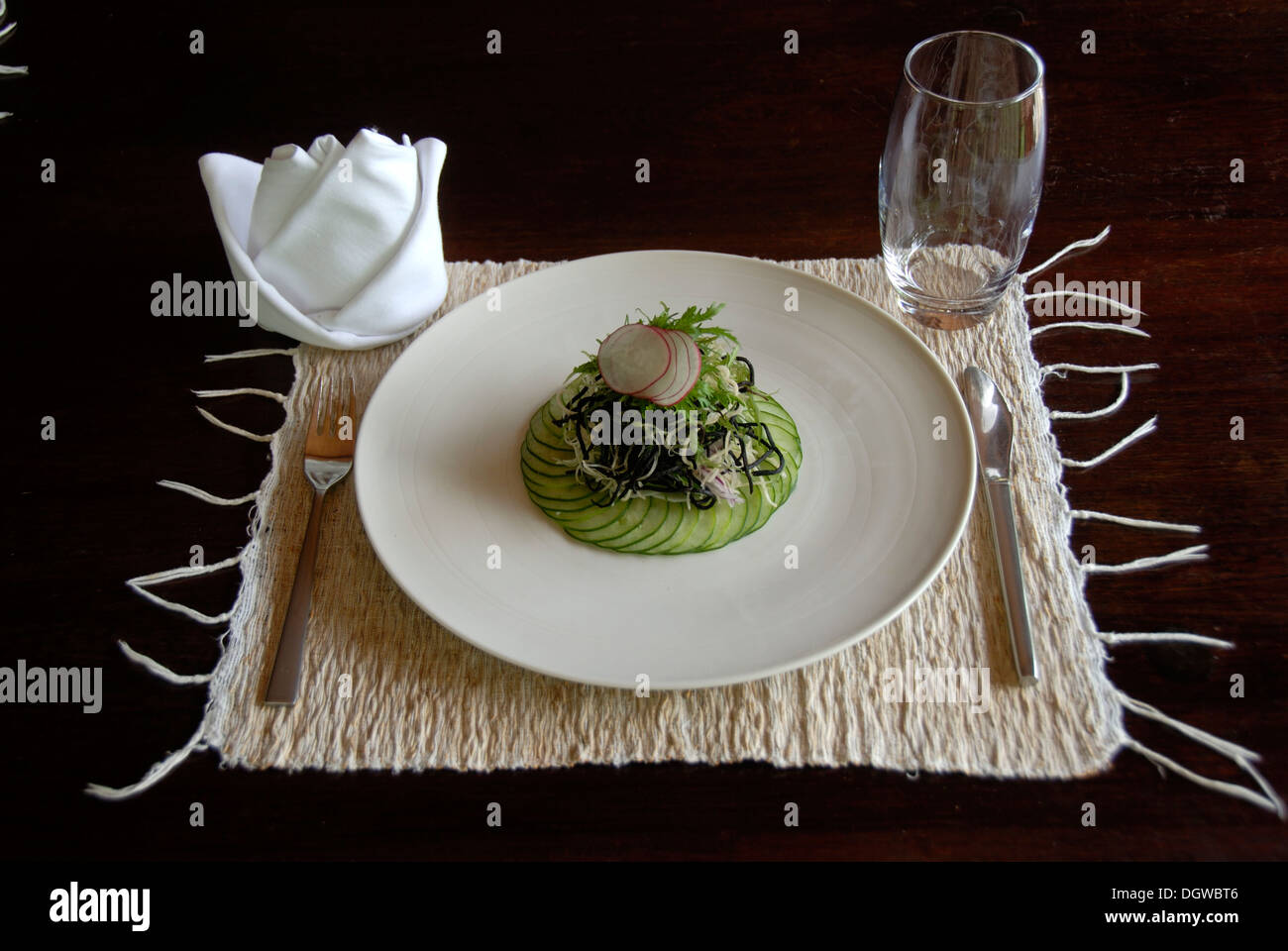 Hotel, Restaurant, Essen, Gastronomie, Tagesmenü, feine Salat gestapelt auf Gurkenscheiben auf einem Teller, Noble Resort in der Nähe von Ubud, Bali Stockfoto