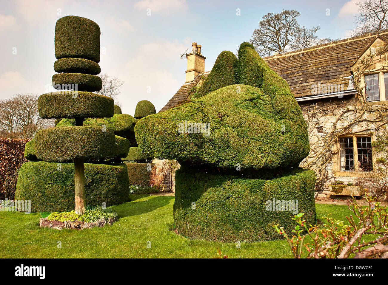 Hecke in Eibe im Garten der Hüter-Hütte in Haddon Hall in Derbyshire Stockfoto