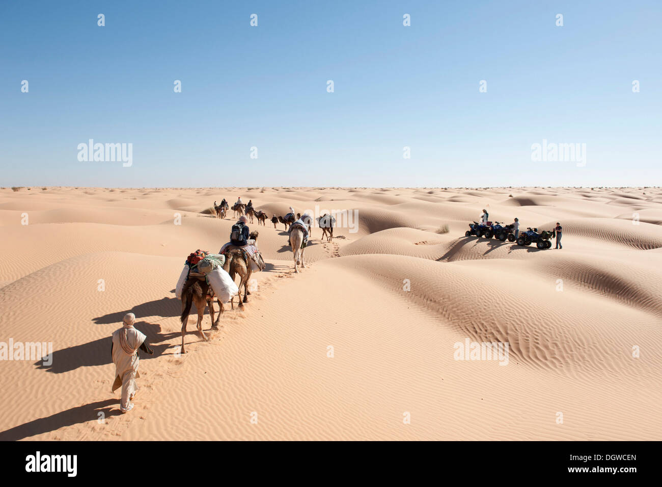Kameltrekking, Kamele, Dromedare (Camelus Dromedarius), nachhaltiger Tourismus, Caravan, die Begegnung mit einer Gruppe von Quads, sand Stockfoto