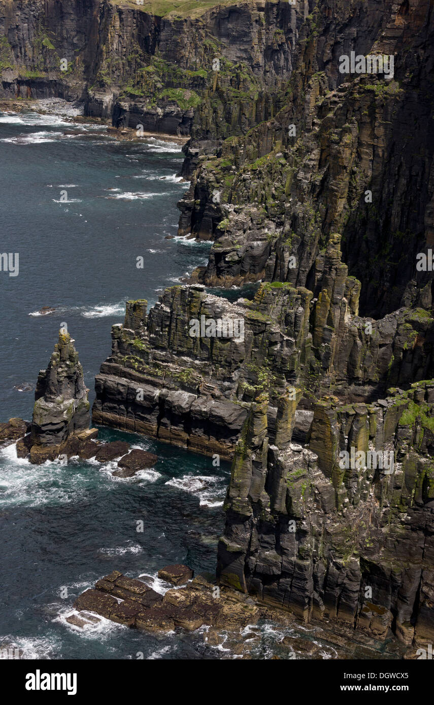 Spektakuläre Aussicht auf den Stapel und Seevögel-Kolonien an die Cliffs of Moher, The Burren, Co. Clare, Irland Stockfoto